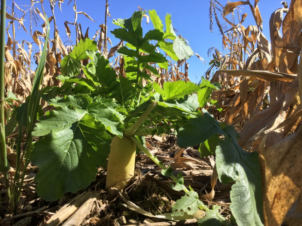 E&S Potter County Conservation District